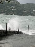 IMG_1834