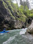 oberland bernese 5